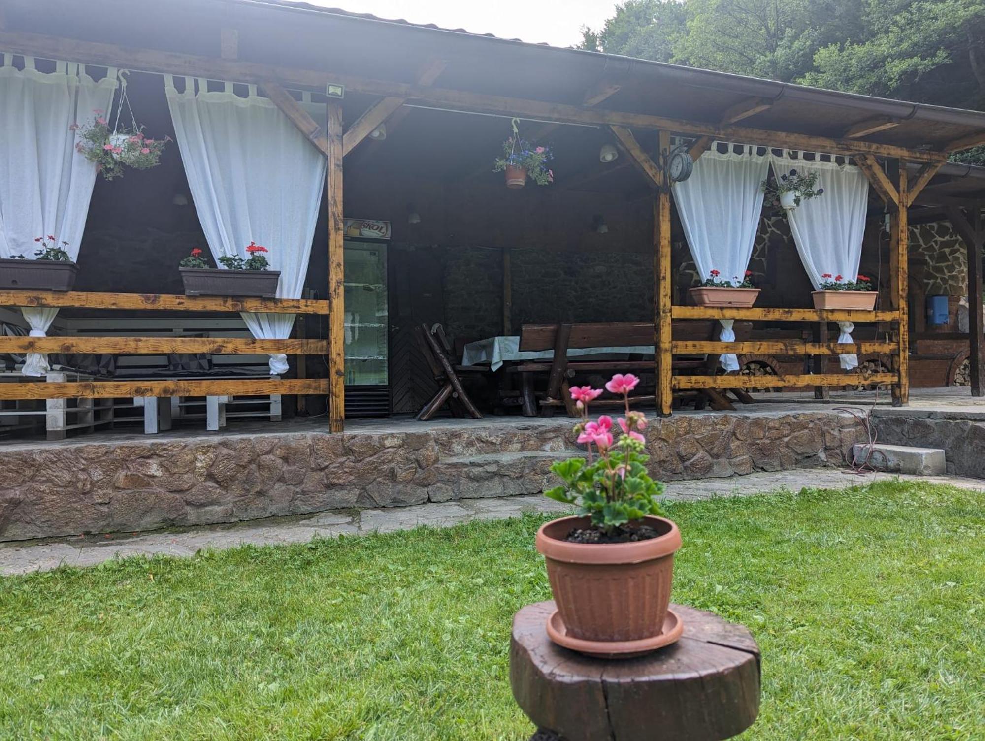Вилла Casa Alex Вэльюг Экстерьер фото